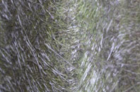 Bardown fibreglass roof work